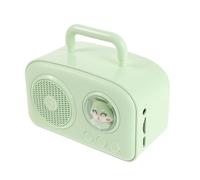 GRIRIW Mini Enceinte de Voyage sans Fil - Enceinte Portable rétro avec Son Clair et réglage du Volume - Compatible USB, clé USB et entrée auxiliaire - Lecteur Radio pour événements en Plein air