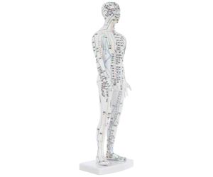 GRIRIW Modèle de laboratoire méridiens et points d'acupuncture blanc en plastique pour étudiants et formation en médecine chinoise à l'école et en