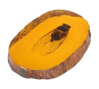 GRIRIW Spécimen D'insecte Décor Unique Pierre D'ambre Orange en Résine et Présent Esthétique pour Collection et Observation Scientifique