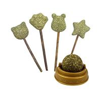 GRIRIW Sucette à l'herbe à Chat Naturelle Lot de 5 Bâtonnets Comestibles pour Favorisant la Digestion Collation
