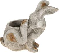 Gris antique Béton Lapin Déco Pot de fleurs Outdoor Pâques