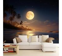 Gris Papier Peint Intissé Mural 350 x 256 cm, Magnifique Ciel Nocturne Lune Plage Motif Muraux Geant Poster Personnalisable Wallpaper pour Salon Cuisines Bureau Chambre d'enfants Décor