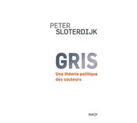 Gris Une théorie politique des couleurs - Peter Sloterdijk - Payot - broché - Essai