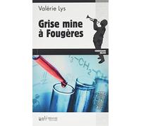 Grise mine à Fougères
