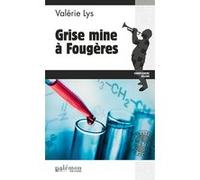 Grise mine à Fougères Valérie Lys (Auteur)