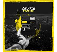Grizzly - Polaroids [Import]