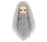 Grobo Ensemble de perruque et de barbe pour hommes, longue perruque de prophète sorcier gris, pour le carnaval d'halloween du théâtre cosplay