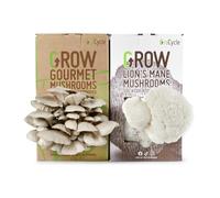 GroCycle Gourmet Kit de culture de champignons comprenant une crinière de lion + kit de culture de champignons d'huîtres | Cadeaux de jardinage pour femmes, hommes et enfants | Cadeaux de champignons