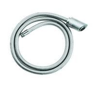 Grohe Grohe Douchette 46246 pour Zedra/Europlus acier inoxydable Quantité:1