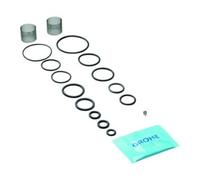 Grohe Grohe Kit de joints 47141 PG 10 Quantité:1