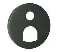 Grohe Grohe Rosace 49117 ronde pour EHM-FMS graphite dur brossé Quantité:1