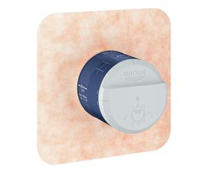 GROHE Rainshower boîte d'encastrement universelle Rainshower 1/2 pour douche principale 9.5L 26484000