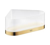 Grohe Selection Tablette de douche, 41038GL0,