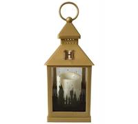 Groovy Harry Potter Lanterne Merch