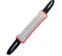 Gros jouets pour chiens, durables, à mordre, à tirer, à mordre, à coussin, pour chien, jouet interactif pour animaux domestiques, jouets à mâcher pour chiens (Decor)