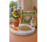 Gros Lot de 500 Graines Mélange spécial Lapin - 8 variétés de Fleurs et légumes - 100% Comestible pour Les Lapins - Mix nutritif et Naturel - Graines Potager et fourrage - Culture Facile Plante- 475