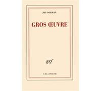Joy Sorman – Gros Oeuvre – Essai – Broché