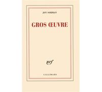 Gros oeuvre - Joy Sorman - Gallimard - broché - Essai