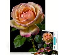 Gros Plan de Roses Roses Puzzle de 1000 pièces pour Adultes Améliore la mémoire et soulage l'anxiété Décoration Murale aux Bords Nets (50x75cm)