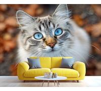 Gros plan d'un chat Ragdoll aux yeux azur, fresque murale, art félin captivant, décoration élégante pour salon ou chambre à coucher 250x175cm (Non autocollant)