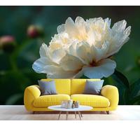 Gros plan d'une pivoine blanche rosée, fresque murale élégante, décoration florale raffinée, touche luxueuse pour le salon ou la chambre. 280x200cm (Non autocollant)