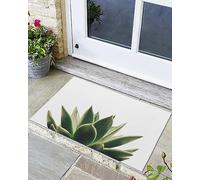 Gros Plan d'une Succulente Verte Tapis De Porte Antidérapant Absorbant Paillasson Facile À Nettoyer Paillasson Exterieur pour Porte D'Entrée Intérieur Accessoires Maison 40 X 60Cm
