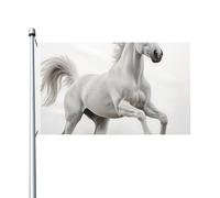 Gros plan sur le motif : 8 drapeaux de jardin en polyester double face de 1,5 m x 0,9 m avec œillets