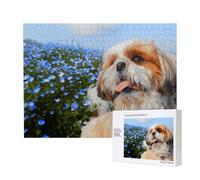 Gros Plan sur Le Shih Tzu,Puzzle Familial en Bois de 500 pièces pour Adultes et Adolescents, décoration d'intérieur