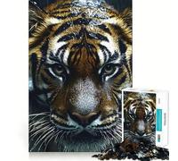 Gros Plan sur Un Tigre sous la Pluie Puzzle de 1000 pièces pour Adolescents Jeu de logique et de Construction Amusant et précis Cadeau élégant 38x52cm