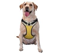 Gros Plan sur Un Verre à bière,Harnais pour Animaux de Compagnie, Harnais réfléchissant réglable pour Chien,L
