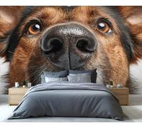 Gros plan sur une fresque murale représentant un berger allemand - Adorable portrait de museau et d'yeux de chien, papier peint mignon pour chambre à coucher 200x140cm (Non autocollant)