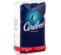 Gros sel blanc iode