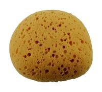 Grosse Eponge De Bain Naturelle Végétale Douche Corps Visage 13x11x7cm