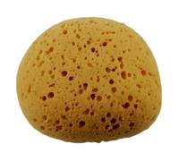 Grosse Eponge de Bain Naturelle Végétale Douche Corps Visage 13x11x7cm