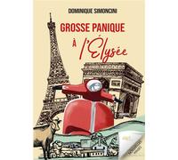 Grosse panique à l'Élysée - Dominique Simoncini - Jdh-1001 Reponses - broché - Roman