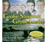 Grosse Stimmen-Grosse Lieder Various