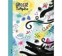 Grosse tempête Marie-Anne Abesdris (Auteur)