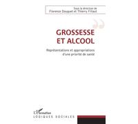 Grossesse et alcool Représentations et appropriations d'une priorité de santé - Florence Douguet - L'harmattan - broché - Essai