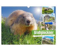 Großglockner wunderschöne Berg- und Tierwelt (Wandkalender 2026 DIN A3 quer), CALVENDO Monatskalender: Hochalpenstraße Großglockner mit Blick auf ... Da möchte man gleich losfahren und erleben!