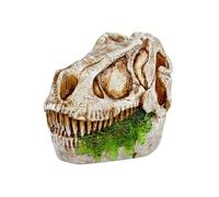 GrossMos Flying - Dï¿½couvre ton dinosaure volant - Vert - 3 modeles a collectioner