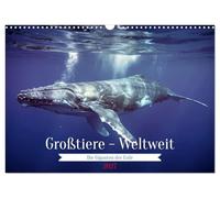 Großtiere - Weltweit (Wandkalender 2027 DIN A3 quer), CALVENDO Monatskalender: Dieser Kalender zeigt die beeindruckende Vielfalt der größten Tierarten ... Riesen der Savanne und des Dschungels.