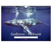 Großtiere - Weltweit (Wandkalender 2027 DIN A4 quer), CALVENDO Monatskalender: Dieser Kalender zeigt die beeindruckende Vielfalt der größten Tierarten ... Riesen der Savanne und des Dschungels.
