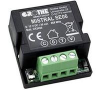 Grothe Module radio pour carillon 43443 – sans fil