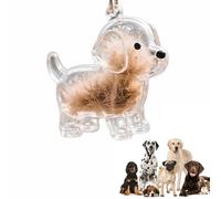 GROTOLY Porte-clés collecteur de poils de chien 2025 - Boîte de rangement commémorative pour poils d'animaux, porte-clés transparent pour les amoureux des animaux domestiques