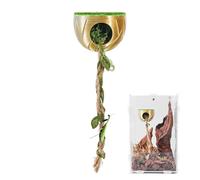 Grotte de cachette d'araignée - Décoration d'habitat magnétique, Lieu de cachette de réservoir de Reptiles | Accessoire d'enrichissement du Paysage d'enclos, Endroit de Terrier sécurisé pour la mante