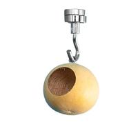 Grotte des araignées sauteuses, enclos des araignées sauteuses | Accessoires d'araignée sauteuse avec magnétisme Maison naturaliste,Enceinte d'araignée sauteuse de courges naturelles, pour une décorat