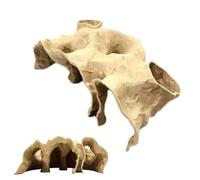 Grotte pour Aquarium | Maison Tunnel pour crevettes, grottes d'élevage de crevettes | pour Terrarium sous- Betta Guppy Petit cichlidé, Reptile, Poisson-Chat, ermite, Crabe