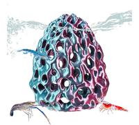 Grotte pour crevettes d'aquarium - habitat en pierre de corail poreuse, abri pour poissons avec ventouse, grotte décorative | des guppys reposants, réservoir Betta, terrarium, décoration