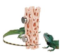 Grotte pour Reptiles - Cachette magnétique pour Reptiles - Grotte pour Geckos | pour décoration de Terrarium d'araignées grimpantes et enclos de Grenouilles, Geckos et Amphibiens