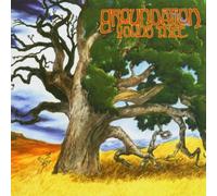 Groundation - Young Tree [Import]